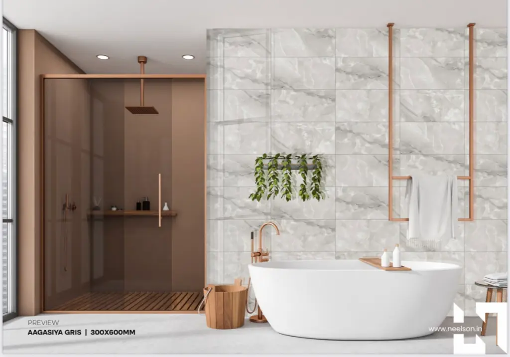 Aagasiya Gris(2).webp