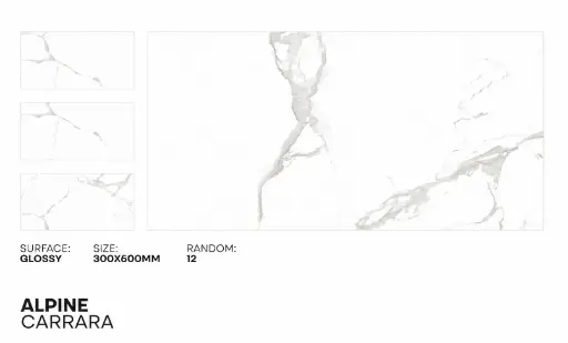 [ALPC2448] MapleLine Alpine Carrara Porcelain Tile 24x48 – Glossy (Wall & Floor) (24x48)