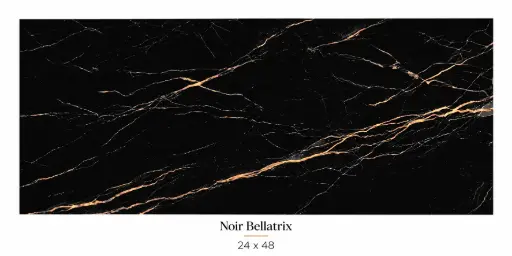 [BELL2448] Noir Bellatrix Porcelain Tile 24x48 - Glosssy (Wall & Floor)