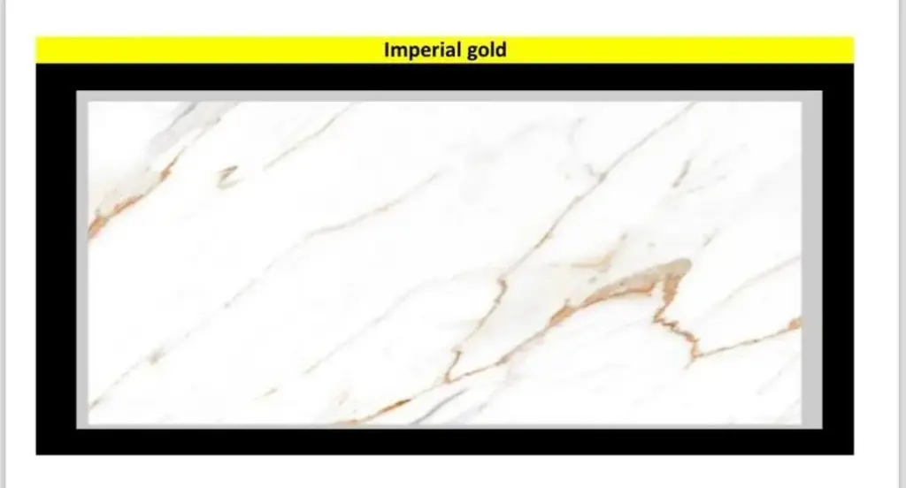 MapleLine Imperial Gold Porcelain Tile 24x24 – Glossy (Wall & Floor)